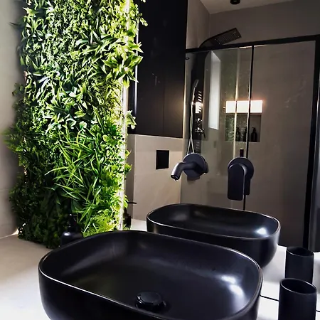 Rossa & Bayo Daire *