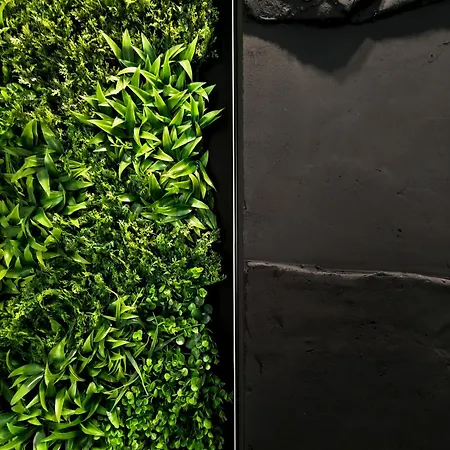 Rossa & Bayo * ベオグラード